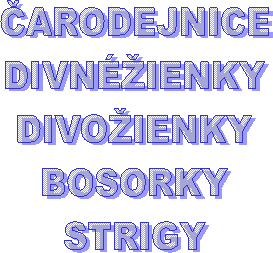 ARODEJNICE
DIVNɎIENKY
DIVOIENKY
BOSORKY
STRIGY